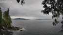 ./images/koeye/fitz-hugh/20250509/fitz-hugh20250509_135010M.jpg