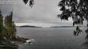 ./images/koeye/fitz-hugh/20250509/fitz-hugh20250509_135509M.jpg