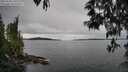 ./images/koeye/fitz-hugh/20250509/fitz-hugh20250509_140509M.jpg