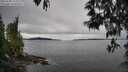 ./images/koeye/fitz-hugh/20250509/fitz-hugh20250509_141010M.jpg