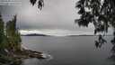 ./images/koeye/fitz-hugh/20250509/fitz-hugh20250509_143509M.jpg