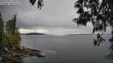 ./images/koeye/fitz-hugh/20250509/fitz-hugh20250509_144009M.jpg