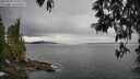 ./images/koeye/fitz-hugh/20250509/fitz-hugh20250509_144509M.jpg