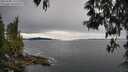 ./images/koeye/fitz-hugh/20250509/fitz-hugh20250509_145510M.jpg