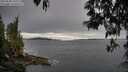 ./images/koeye/fitz-hugh/20250509/fitz-hugh20250509_150510M.jpg