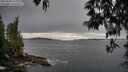 ./images/koeye/fitz-hugh/20250509/fitz-hugh20250509_151010M.jpg