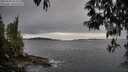 ./images/koeye/fitz-hugh/20250509/fitz-hugh20250509_152510M.jpg
