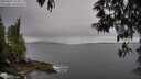 ./images/koeye/fitz-hugh/20250509/fitz-hugh20250509_154011M.jpg