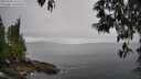 ./images/koeye/fitz-hugh/20250509/fitz-hugh20250509_161511M.jpg
