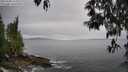 ./images/koeye/fitz-hugh/20250509/fitz-hugh20250509_162509M.jpg