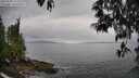 ./images/koeye/fitz-hugh/20250509/fitz-hugh20250509_163509M.jpg
