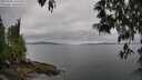 ./images/koeye/fitz-hugh/20250509/fitz-hugh20250509_165508M.jpg