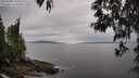 ./images/koeye/fitz-hugh/20250509/fitz-hugh20250509_174510M.jpg