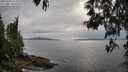 ./images/koeye/fitz-hugh/20250509/fitz-hugh20250509_175011M.jpg