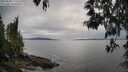 ./images/koeye/fitz-hugh/20250509/fitz-hugh20250509_175510M.jpg
