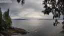 ./images/koeye/fitz-hugh/20250509/fitz-hugh20250509_180510M.jpg