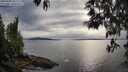 ./images/koeye/fitz-hugh/20250509/fitz-hugh20250509_181510M.jpg