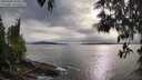 ./images/koeye/fitz-hugh/20250509/fitz-hugh20250509_182010M.jpg
