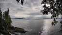 ./images/koeye/fitz-hugh/20250509/fitz-hugh20250509_182510M.jpg