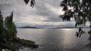 ./images/koeye/fitz-hugh/20250509/fitz-hugh20250509_183011M.jpg