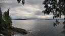 ./images/koeye/fitz-hugh/20250509/fitz-hugh20250509_183510M.jpg