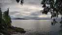 ./images/koeye/fitz-hugh/20250509/fitz-hugh20250509_184010M.jpg