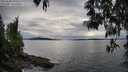 ./images/koeye/fitz-hugh/20250509/fitz-hugh20250509_184508M.jpg