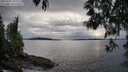 ./images/koeye/fitz-hugh/20250509/fitz-hugh20250509_185010M.jpg