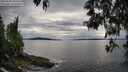 ./images/koeye/fitz-hugh/20250509/fitz-hugh20250509_185509M.jpg