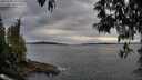 ./images/koeye/fitz-hugh/20250509/fitz-hugh20250509_192508M.jpg