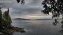./images/koeye/fitz-hugh/20250509/fitz-hugh20250509_195508M.jpg