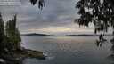 ./images/koeye/fitz-hugh/20250509/fitz-hugh20250509_200508M.jpg