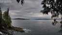 ./images/koeye/fitz-hugh/20250509/fitz-hugh20250509_202508M.jpg