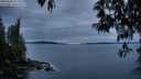 ./images/koeye/fitz-hugh/20250509/fitz-hugh20250509_212009M.jpg