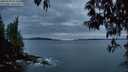 ./images/koeye/fitz-hugh/20250509/fitz-hugh20250509_213509M.jpg