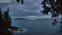 ./images/koeye/fitz-hugh/20250509/fitz-hugh20250509_214009M.jpg