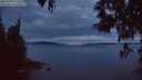 ./images/koeye/fitz-hugh/20250509/fitz-hugh20250509_215009M.jpg
