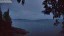 ./images/koeye/fitz-hugh/20250510/fitz-hugh20250510_051009M.jpg