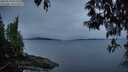 ./images/koeye/fitz-hugh/20250510/fitz-hugh20250510_052509M.jpg