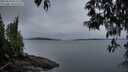 ./images/koeye/fitz-hugh/20250510/fitz-hugh20250510_055009M.jpg