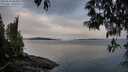 ./images/koeye/fitz-hugh/20250510/fitz-hugh20250510_064009M.jpg