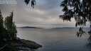 ./images/koeye/fitz-hugh/20250510/fitz-hugh20250510_064509M.jpg