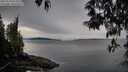 ./images/koeye/fitz-hugh/20250510/fitz-hugh20250510_071011M.jpg