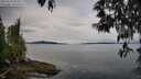 ./images/koeye/fitz-hugh/20250510/fitz-hugh20250510_083011M.jpg