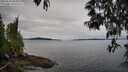 ./images/koeye/fitz-hugh/20250510/fitz-hugh20250510_084010M.jpg