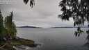 ./images/koeye/fitz-hugh/20250510/fitz-hugh20250510_084509M.jpg