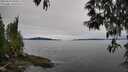 ./images/koeye/fitz-hugh/20250510/fitz-hugh20250510_090011M.jpg