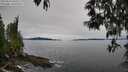 ./images/koeye/fitz-hugh/20250510/fitz-hugh20250510_090510M.jpg