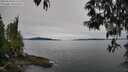 ./images/koeye/fitz-hugh/20250510/fitz-hugh20250510_091510M.jpg