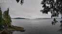 ./images/koeye/fitz-hugh/20250510/fitz-hugh20250510_093010M.jpg
